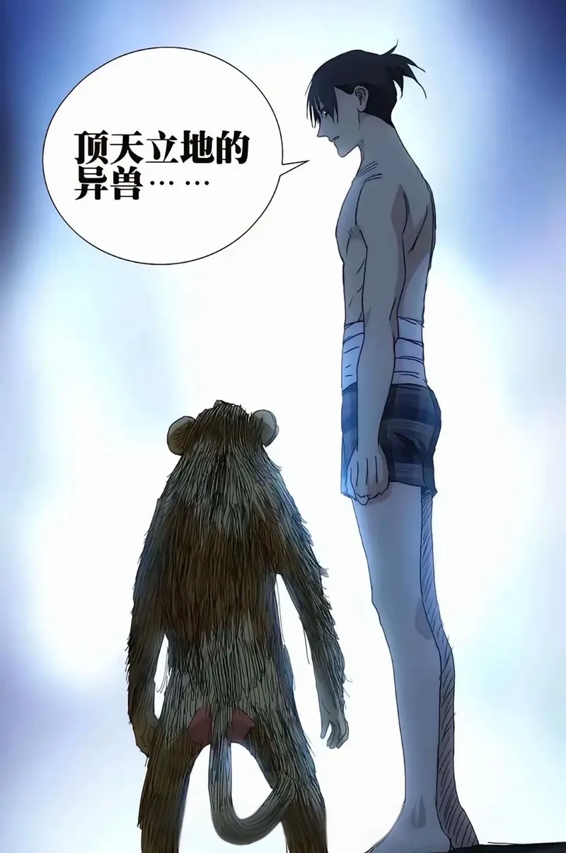 图片 7